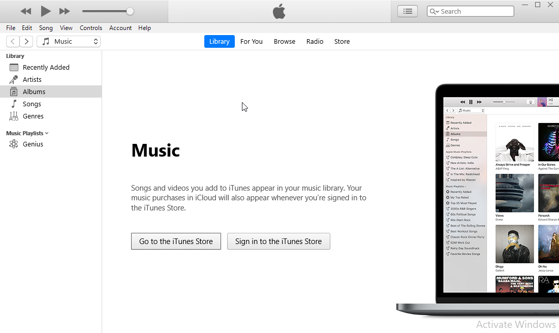 iTune main windows