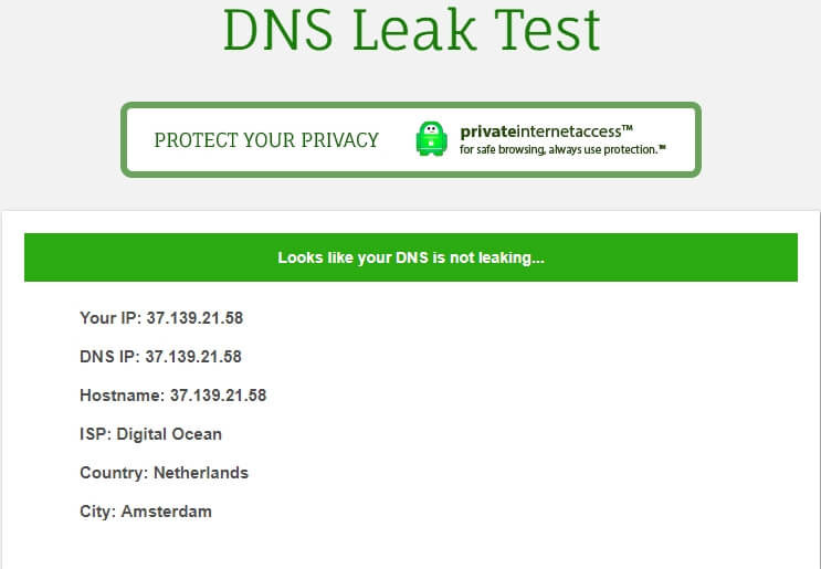 DNS Leak Test