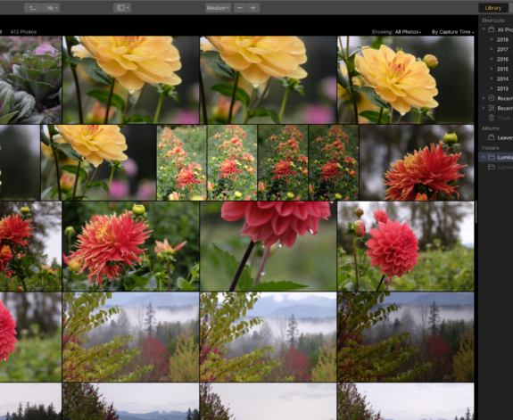 Luminar 3 Professional Photo Editing Software