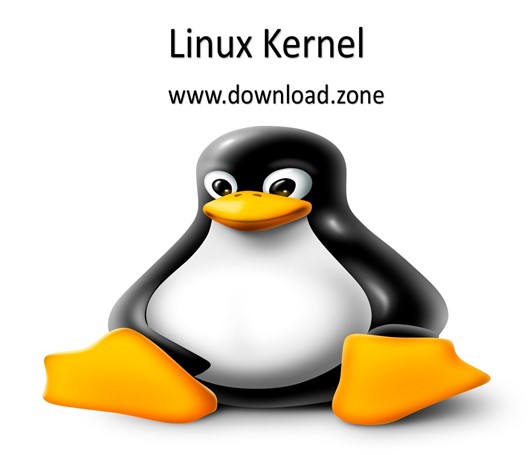 Linux Kernel Pic