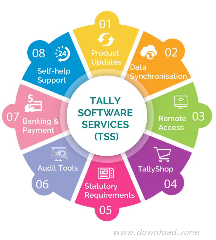 Tally Software Services