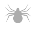 This software shows html spider