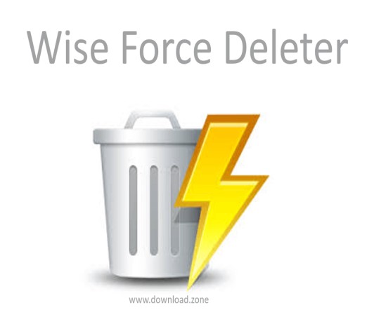 Wise Force Deleter Logo 