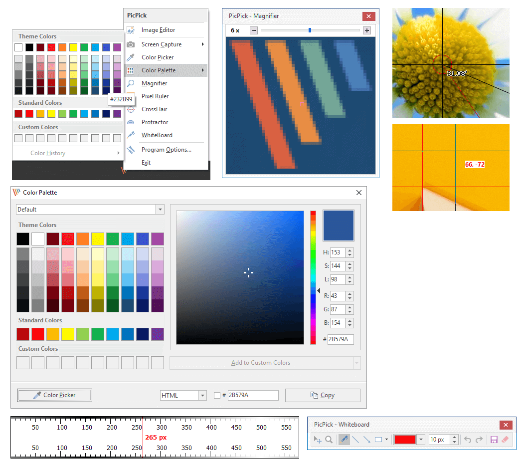 Color Palette