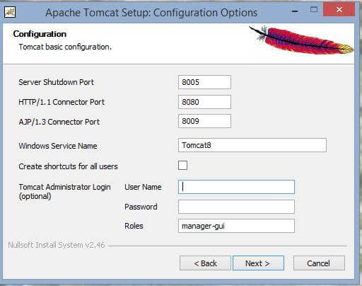 Apache Tomcat Setup