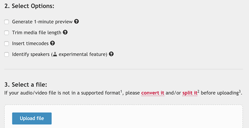 auto_transcription_options