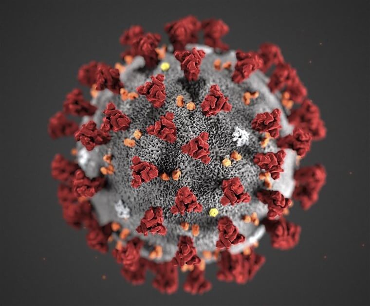 coronavirus