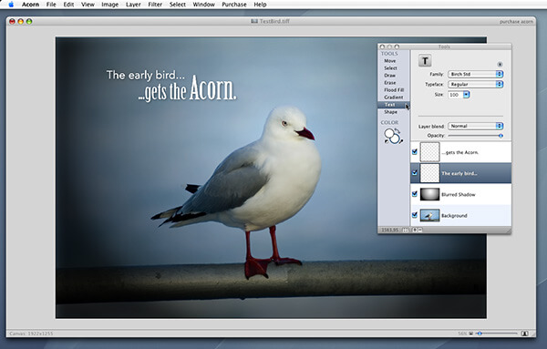 html editor for mac acorn