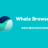 Whale Web Browser For Windows