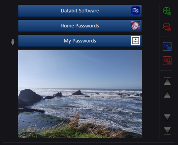 Databit password manager for Windows