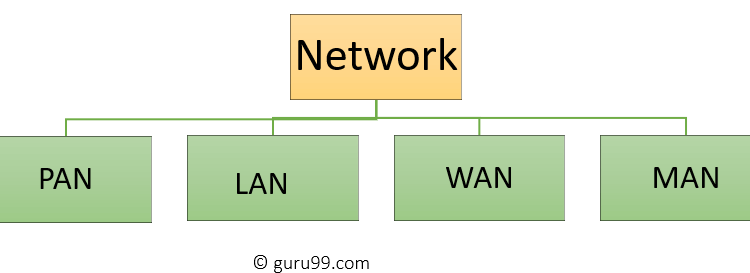 Types of Network