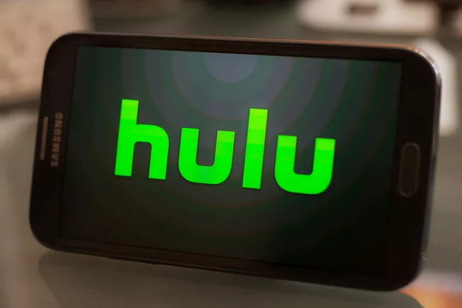 Hulu is one of Netflix's main competitors