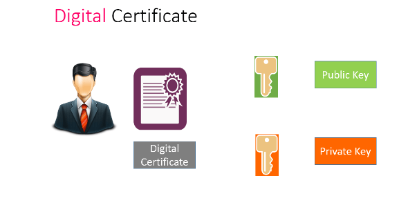 what is a digital certificate