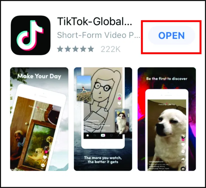 Launch TikTok