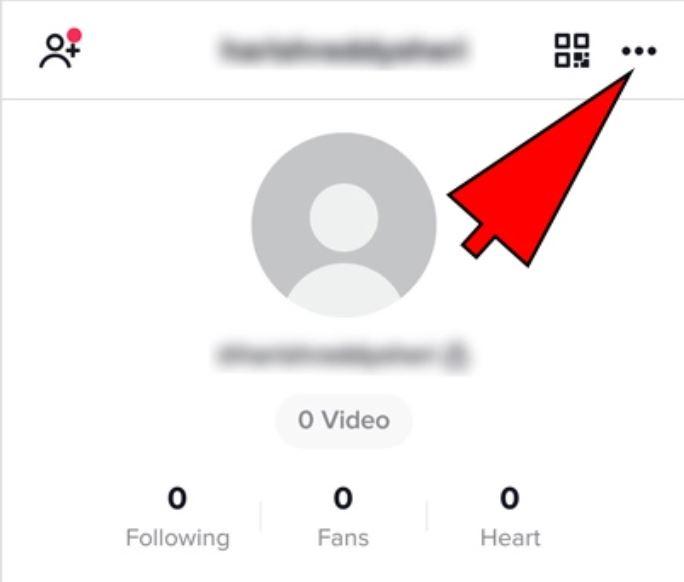 Tap the three dots icon to open the TikTok profile