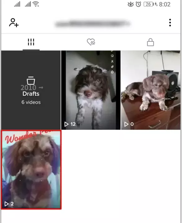 Select the video you want to make private in TikTok.