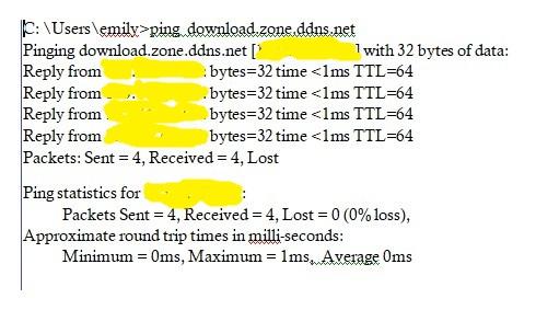 testing dynamic dns