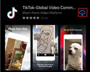 Download TikTok from the App Store or the Google Play Store and install it.