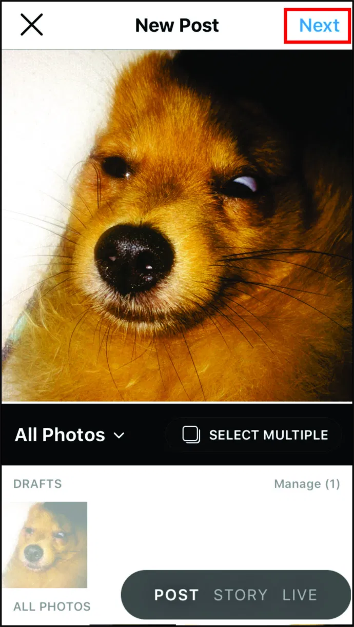 Once you open the photo from “Drafts,” tap on “Next.”
