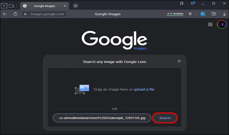 Paste the image address into the search bar then click “Search” button.