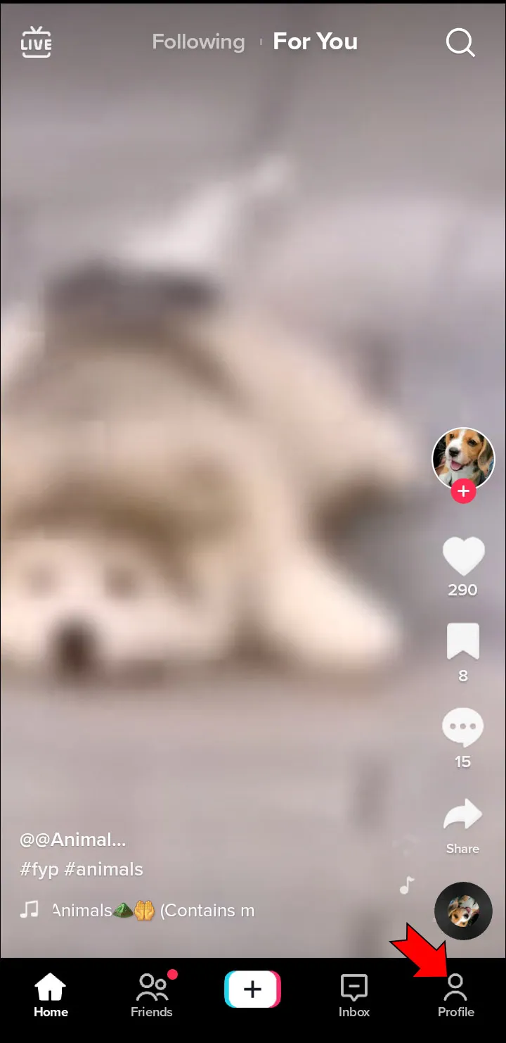 Open TikTok and navigate to your profile.