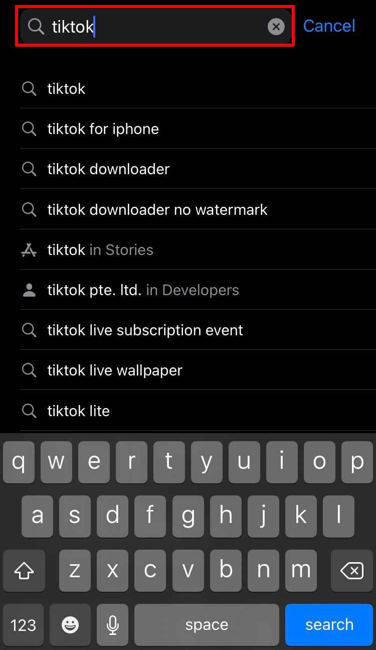Go to the App Store and type “TikTok” in the search bar.