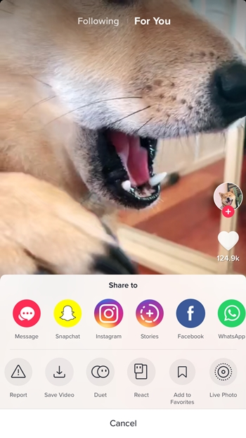 Browse the TikTok main screen