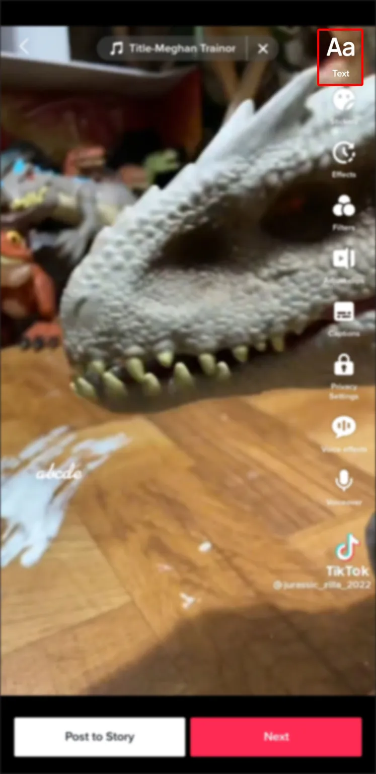 Press the “Text” option at the bottom left.