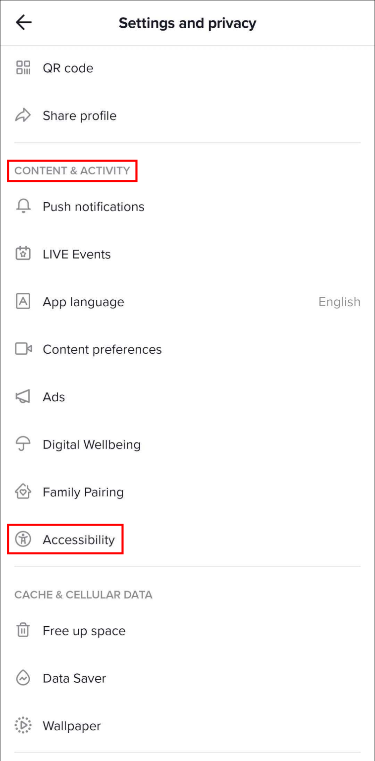 Scroll down to “Accessibility” under “Content & Activity.”