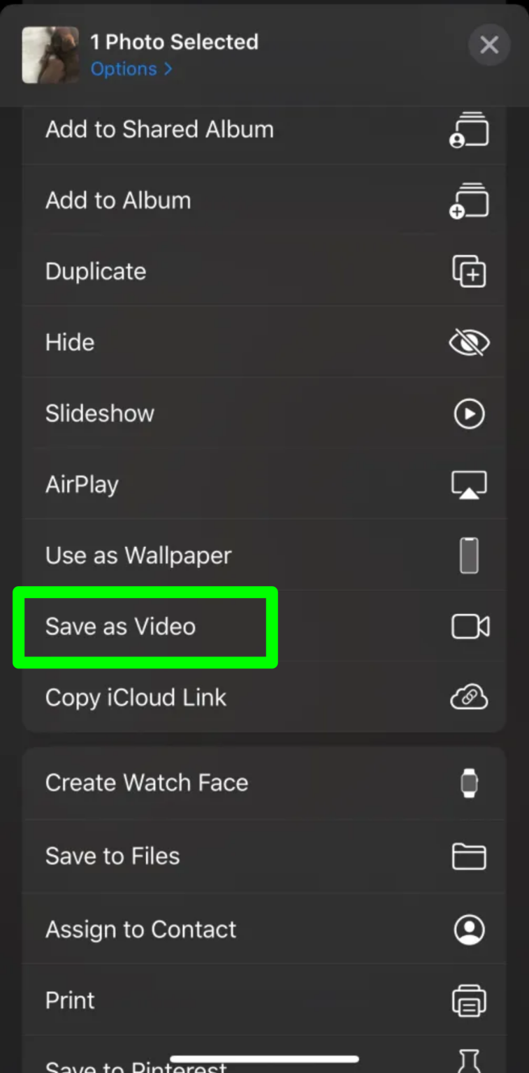 Scroll down and tap Save as Video.