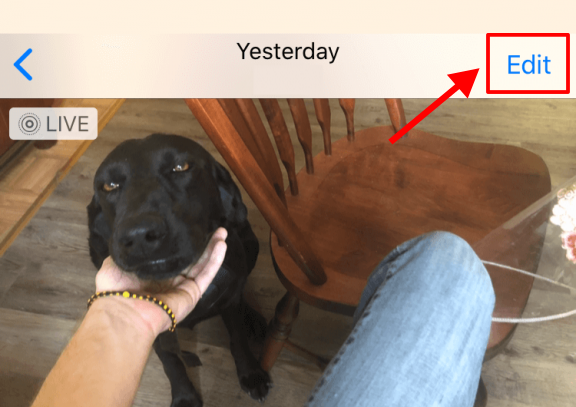 To edit your Live Photo, tap on Edit in the top-right section.