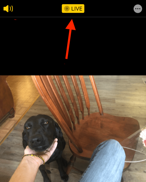 Tap the Live button in the top-center area to make the Live Photo feature