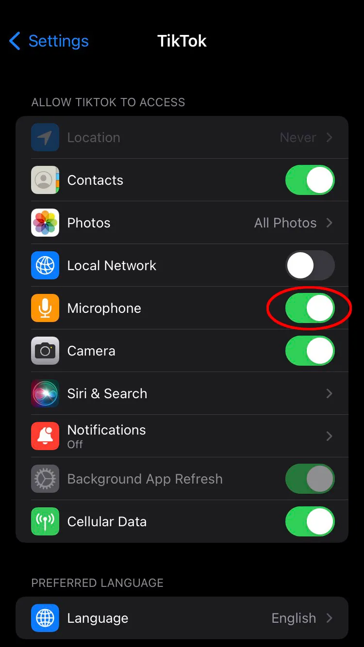 Toggle the switch to allow the app access to your microphone.