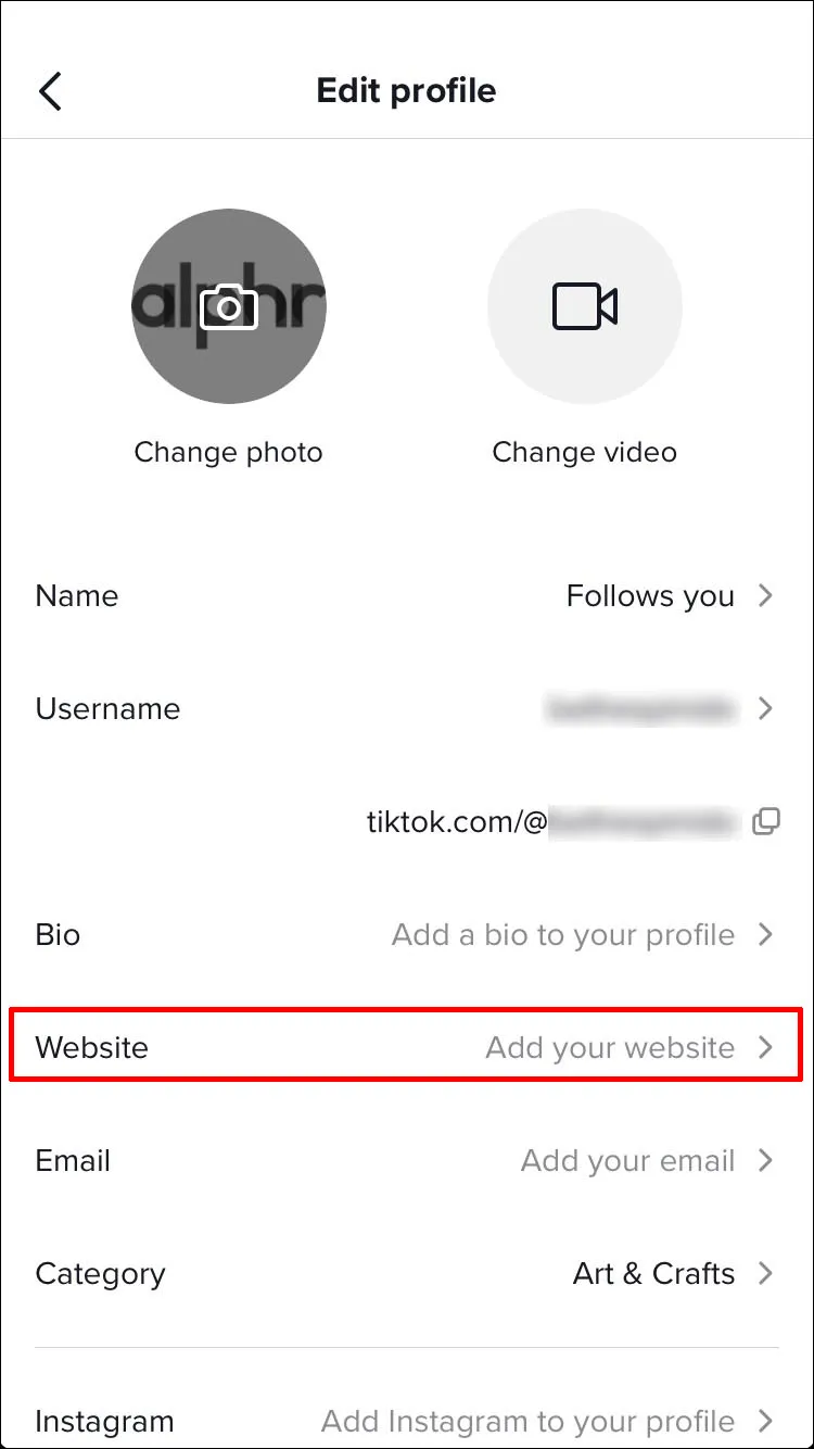 On the profile settings page, tap “Website.”