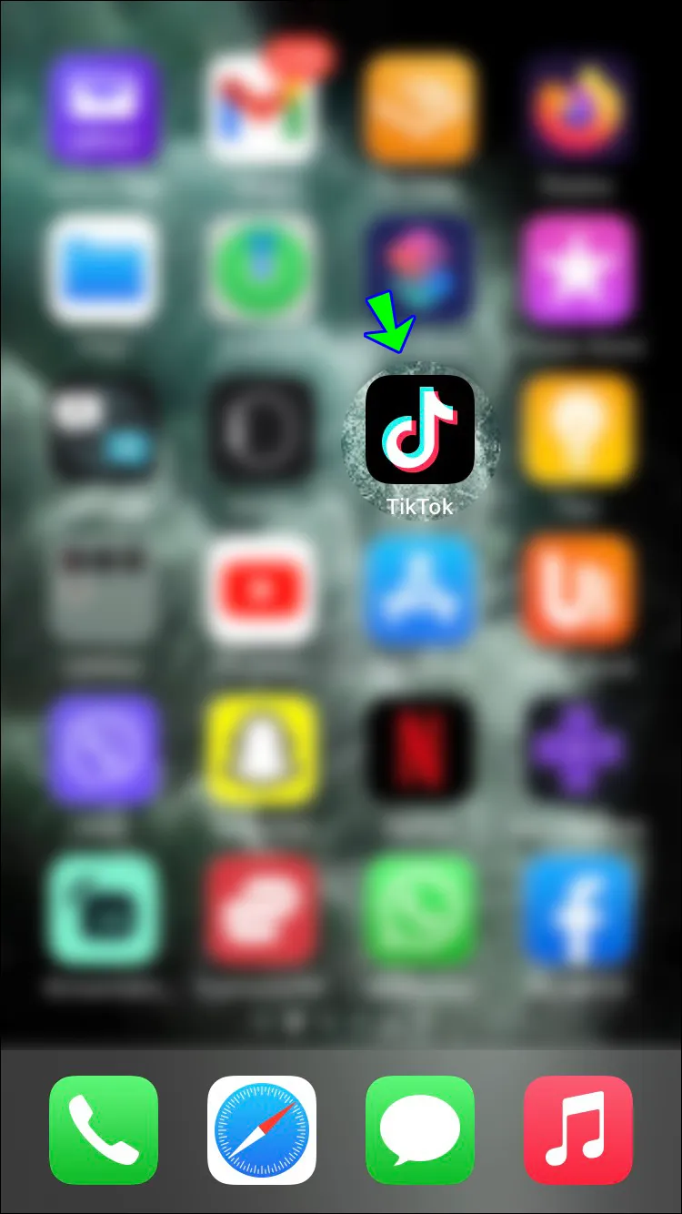 Open the TikTok app.