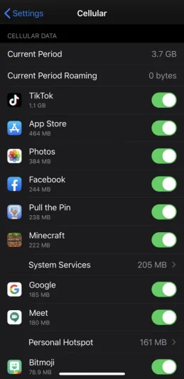 iPhone users have the option to completely ban TikTok