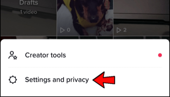 Select “Settings and privacy.”