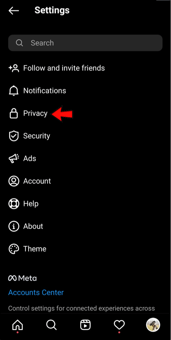 Next, tap on Settings and then Privacy.