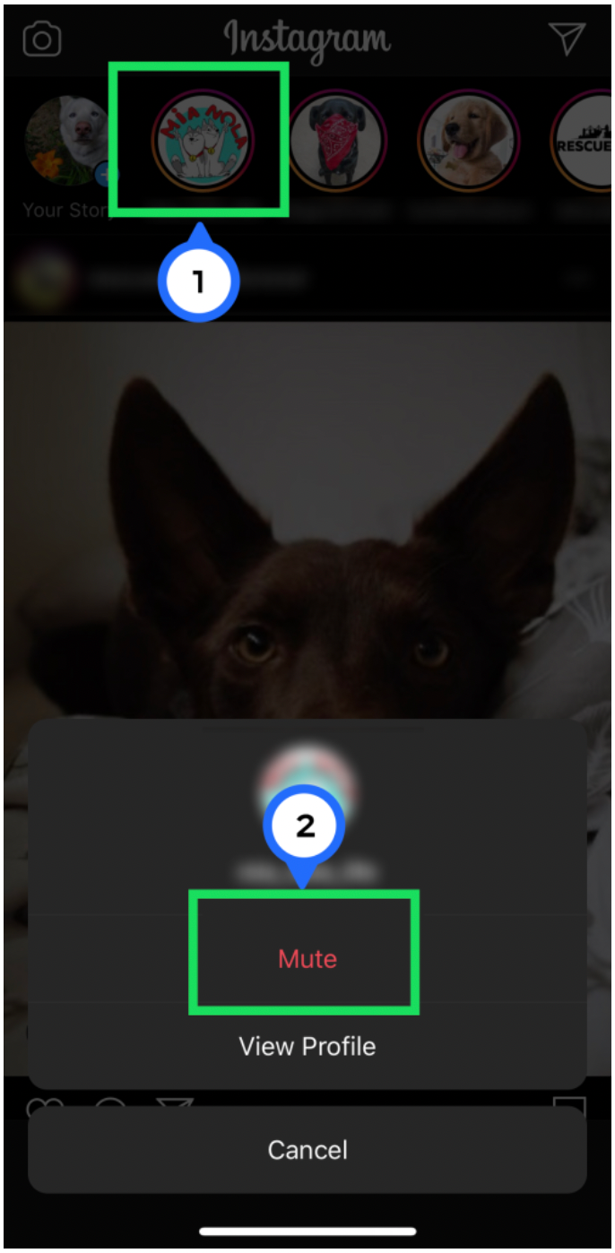 Tap Mute after long-pressing the Instagram Story icon.