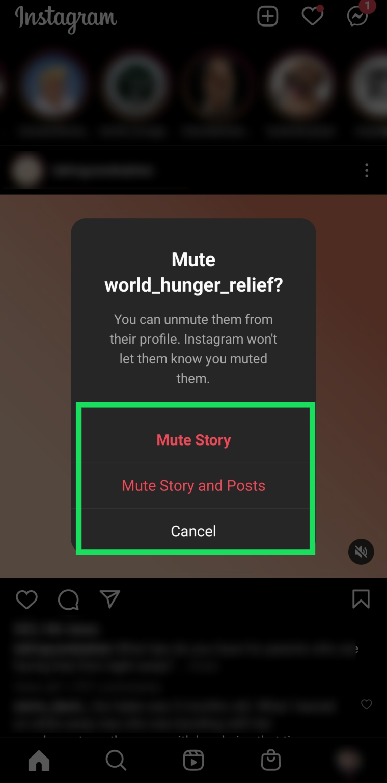 Alternatively, select Mute Story and Posts.