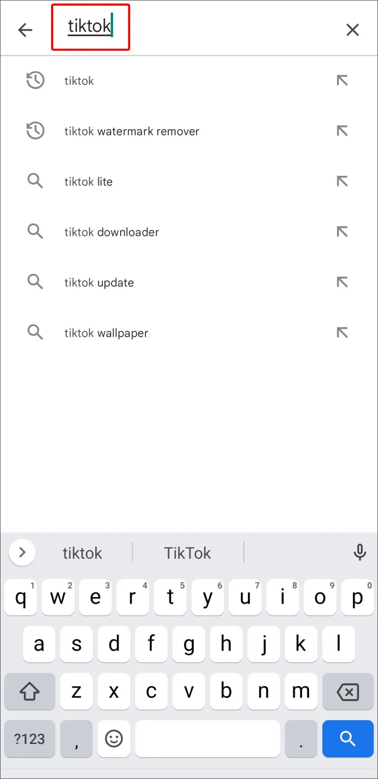 Type in “TikTok” in the search box.