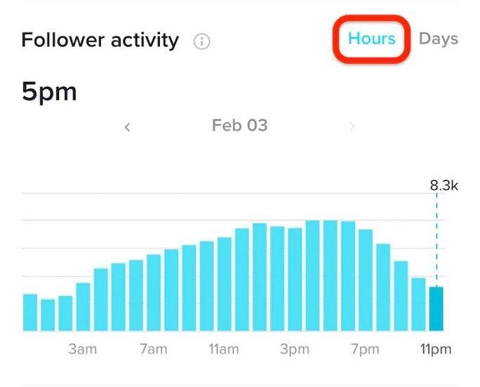 follower activity gradually increasing from 11 am to 7 pm.