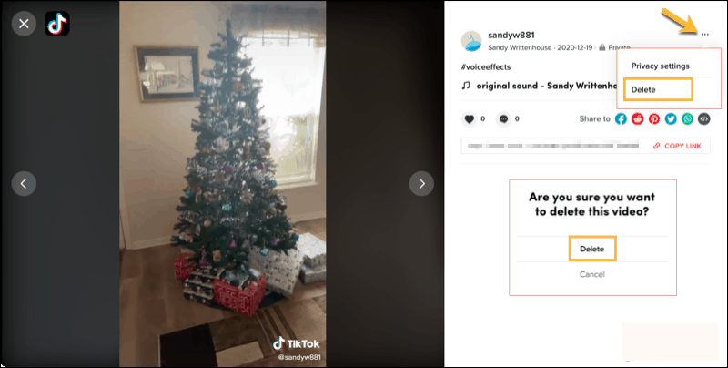 On the TikTok Website