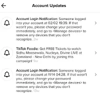 TikTok will then take you to the Account Updates screen