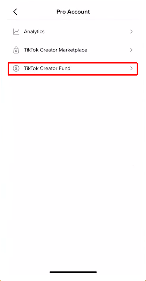 From this menu, tap on “TikTok Creator Fund.”