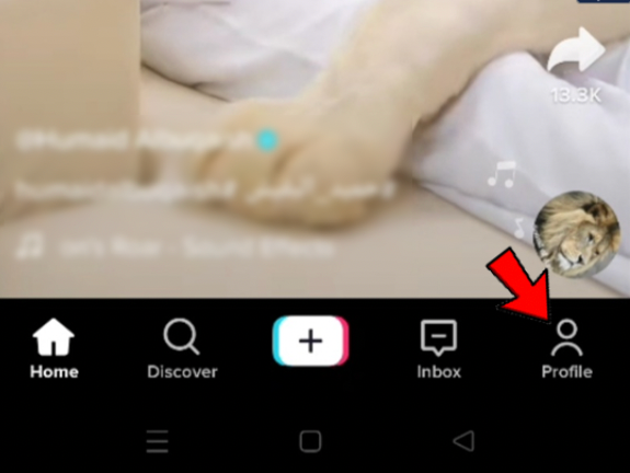 Tap on the Profile icon to mark your liked video on tiktok