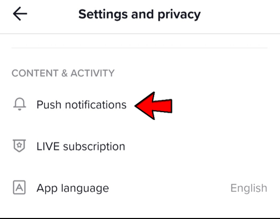 In the Content & Activity section, choose ‘Push notifications.’