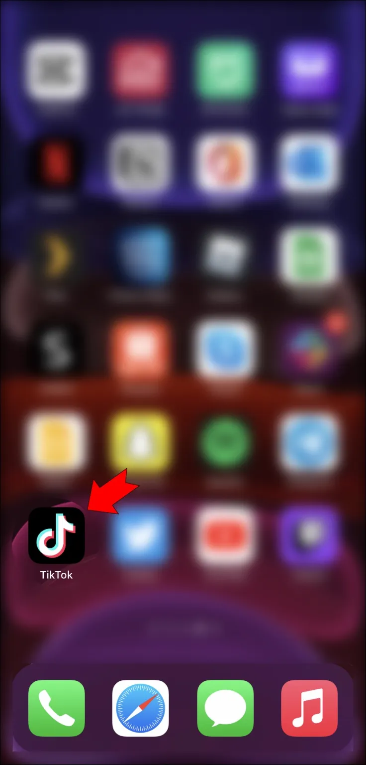 Tap the TikTok app from the home screen to launch it.