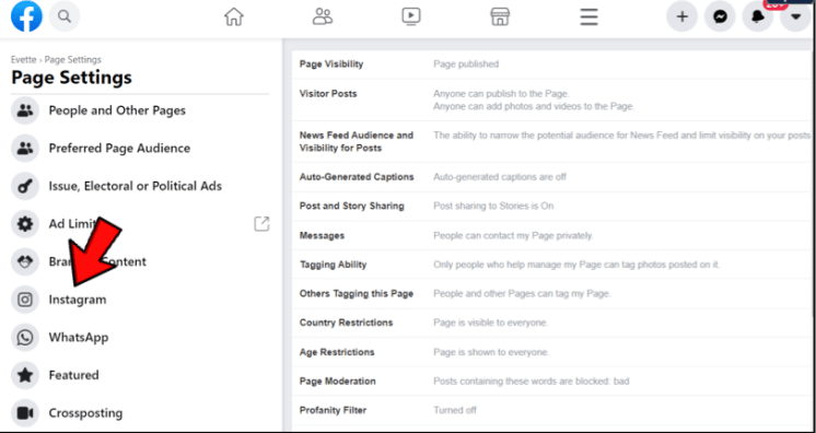 Click “Instagram” within “Page Settings.”