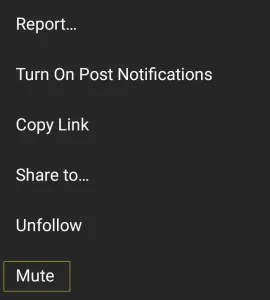 You’re now presented with various options, tap on Mute.